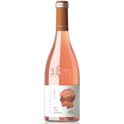 사피엔스 로제 이미지